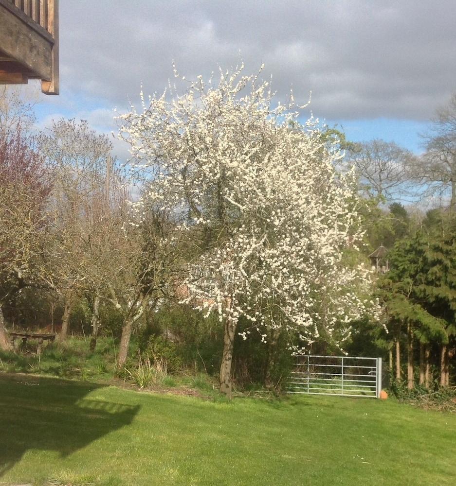 Shakespeare'S View Hotel Stratford-upon-Avon Ngoại thất bức ảnh